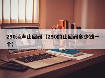 250消声止回阀（250的止回阀多少钱一个）