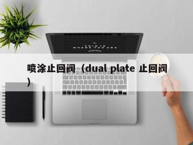 喷涂止回阀（dual plate 止回阀）