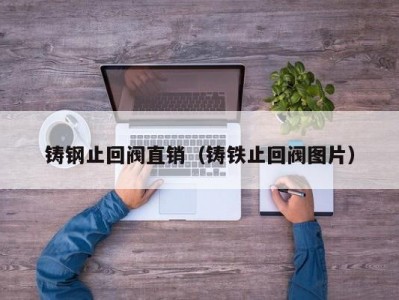 铸钢止回阀直销（铸铁止回阀图片）