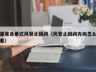 蓬莱自垂式风管止回阀（风管止回阀方向怎么看）