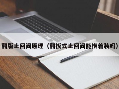 翻版止回阀原理（翻板式止回阀能横着装吗）