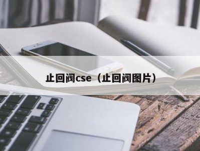 止回阀cse（止回阀图片）
