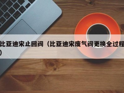 比亚迪宋止回阀（比亚迪宋废气阀更换全过程）
