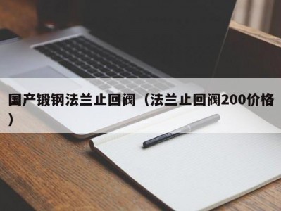 国产锻钢法兰止回阀（法兰止回阀200价格）