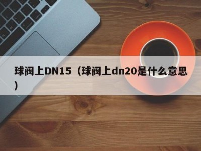 球阀上DN15（球阀上dn20是什么意思）