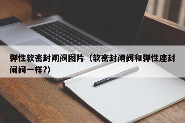 弹性软密封闸阀图片（软密封闸阀和弹性座封闸阀一样?）