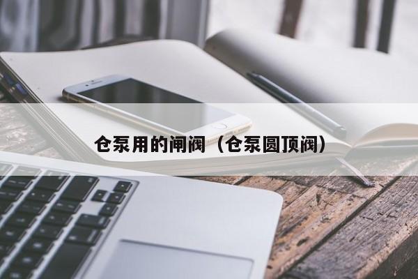 仓泵用的闸阀（仓泵圆顶阀）