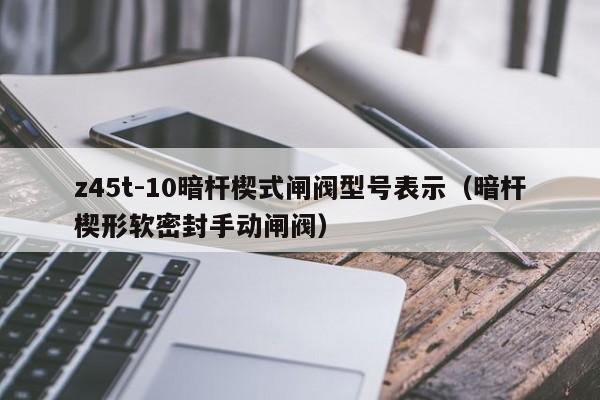 z45t-10暗杆楔式闸阀型号表示（暗杆楔形软密封手动闸阀）