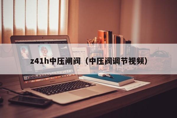 z41h中压闸阀（中压阀调节视频）