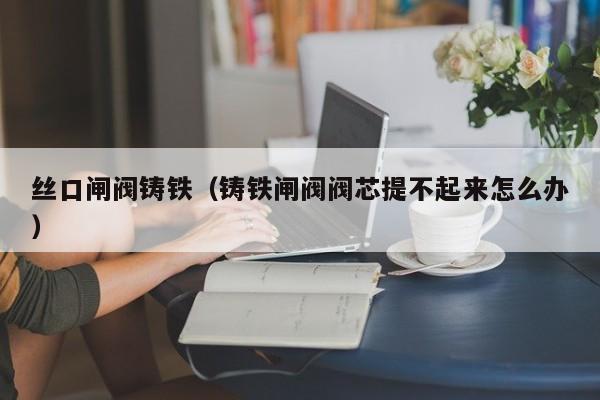 丝口闸阀铸铁（铸铁闸阀阀芯提不起来怎么办）