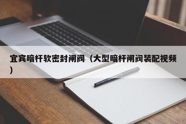宜宾暗杆软密封闸阀（大型暗杆闸阀装配视频）