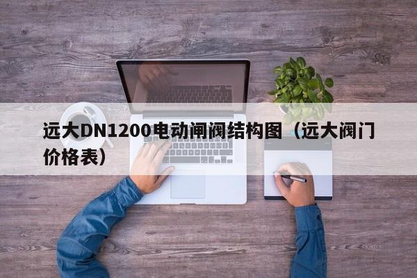 远大DN1200电动闸阀结构图（远大阀门价格表）