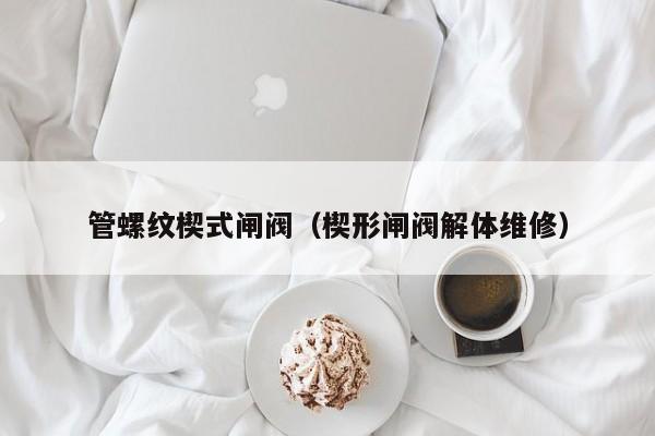 管螺纹楔式闸阀（楔形闸阀解体维修）