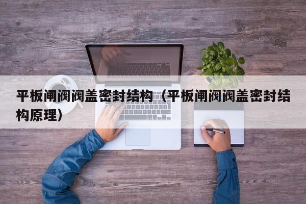 平板闸阀阀盖密封结构（平板闸阀阀盖密封结构原理）