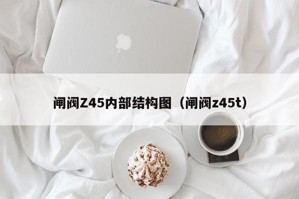 闸阀Z45内部结构图（闸阀z45t）