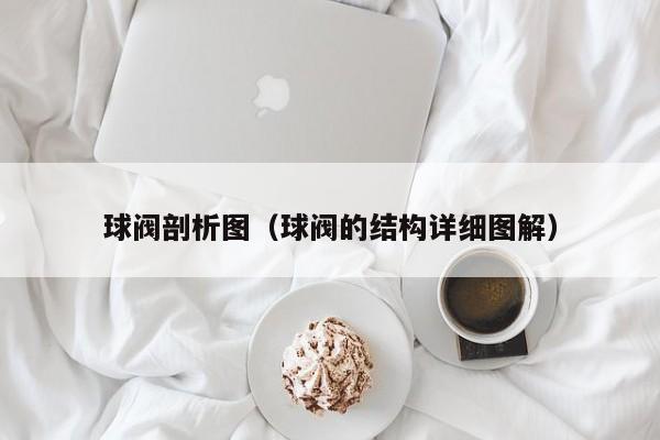 球阀剖析图（球阀的结构详细图解）