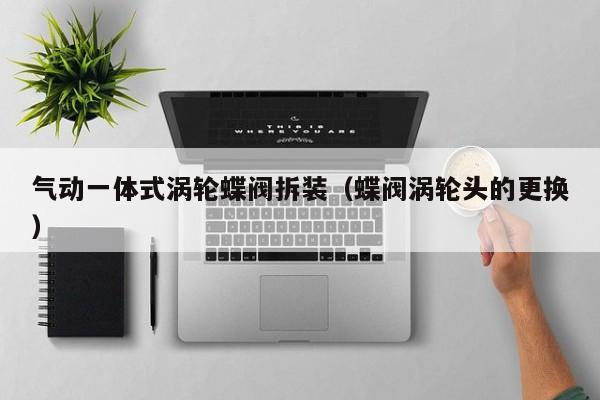 气动一体式涡轮蝶阀拆装（蝶阀涡轮头的更换）