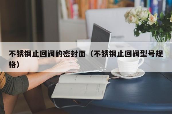 不锈钢止回阀的密封面（不锈钢止回阀型号规格）