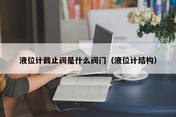 液位计截止阀是什么阀门（液位计结构）