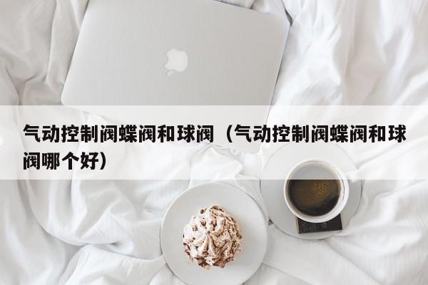 气动控制阀蝶阀和球阀（气动控制阀蝶阀和球阀哪个好）