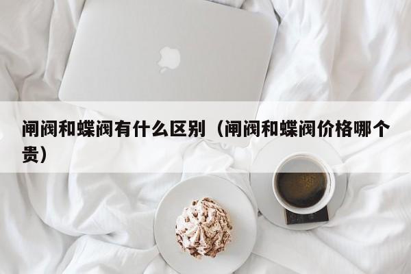 闸阀和蝶阀有什么区别（闸阀和蝶阀价格哪个贵）