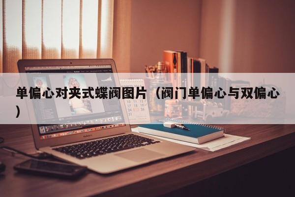 单偏心对夹式蝶阀图片（阀门单偏心与双偏心）