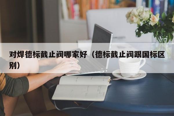 对焊德标截止阀哪家好（德标截止阀跟国标区别）