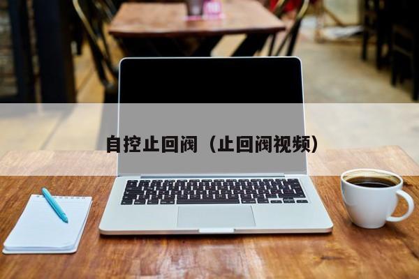 自控止回阀（止回阀视频）