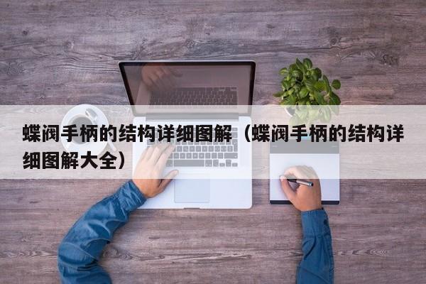 蝶阀手柄的结构详细图解（蝶阀手柄的结构详细图解大全）