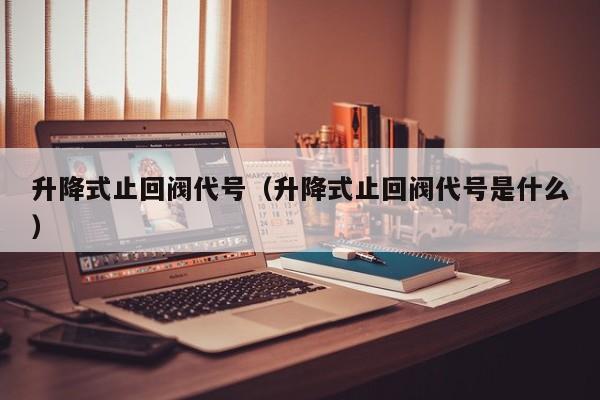 升降式止回阀代号（升降式止回阀代号是什么）