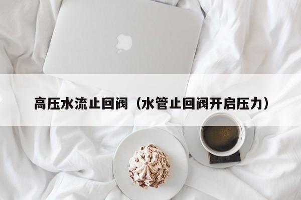高压水流止回阀（水管止回阀开启压力）