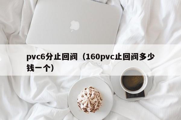 pvc6分止回阀（160pvc止回阀多少钱一个）