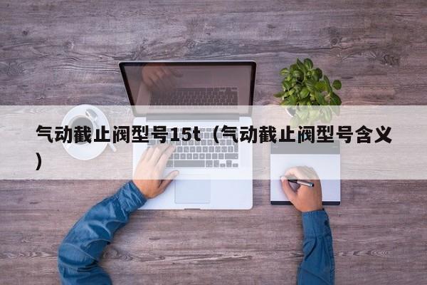 气动截止阀型号15t（气动截止阀型号含义）