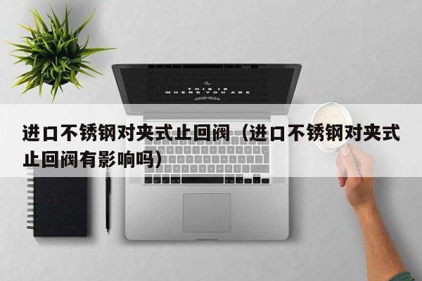 进口不锈钢对夹式止回阀（进口不锈钢对夹式止回阀有影响吗）