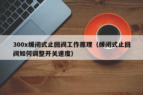 300x缓闭式止回阀工作原理（缓闭式止回阀如何调整开关速度）