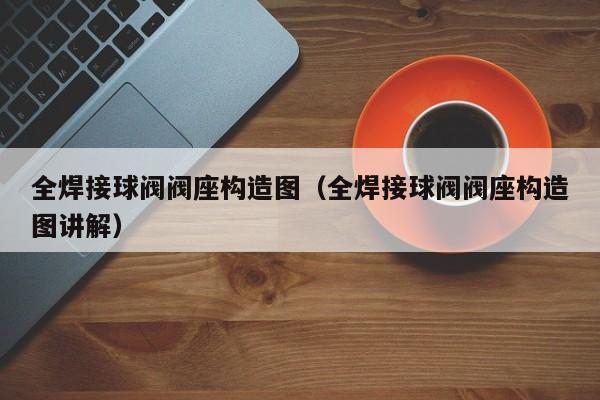 全焊接球阀阀座构造图（全焊接球阀阀座构造图讲解）