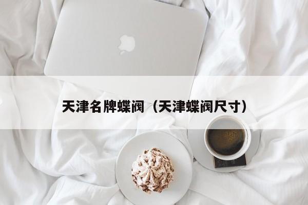 天津名牌蝶阀（天津蝶阀尺寸）