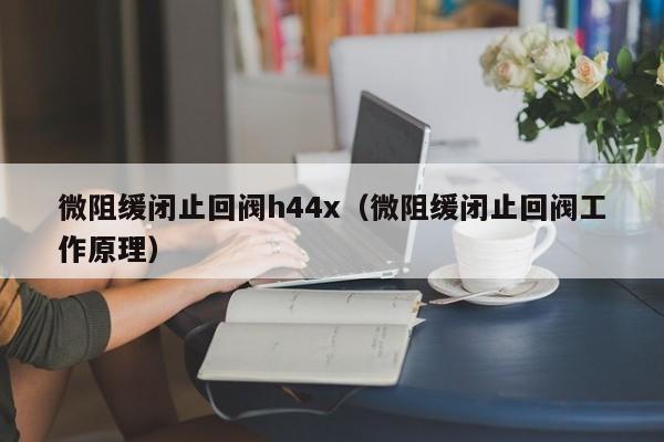 微阻缓闭止回阀h44x（微阻缓闭止回阀工作原理）