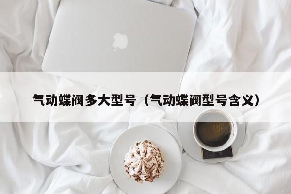 气动蝶阀多大型号（气动蝶阀型号含义）