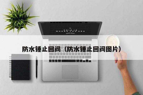 防水锤止回阀（防水锤止回阀图片）