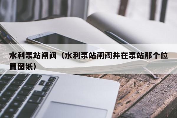 水利泵站闸阀（水利泵站闸阀井在泵站那个位置图纸）