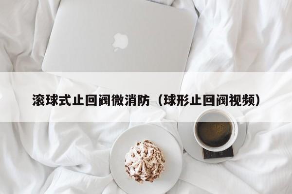 滚球式止回阀微消防（球形止回阀视频）