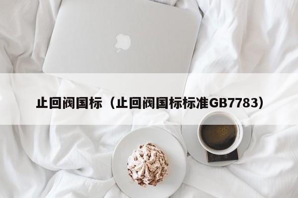 止回阀国标（止回阀国标标准GB7783）