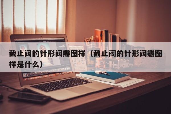 截止阀的针形阀瓣图样（截止阀的针形阀瓣图样是什么）
