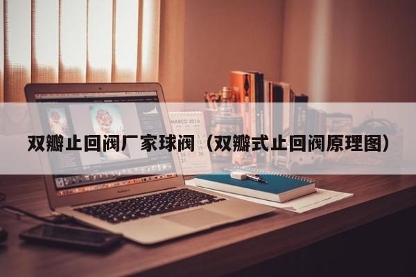 双瓣止回阀厂家球阀（双瓣式止回阀原理图）