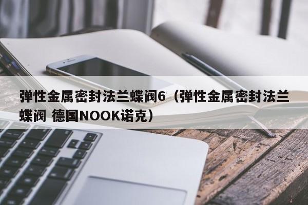 弹性金属密封法兰蝶阀6（弹性金属密封法兰蝶阀 德国NOOK诺克）