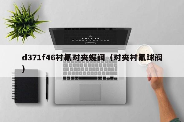 d371f46衬氟对夹蝶阀（对夹衬氟球阀）