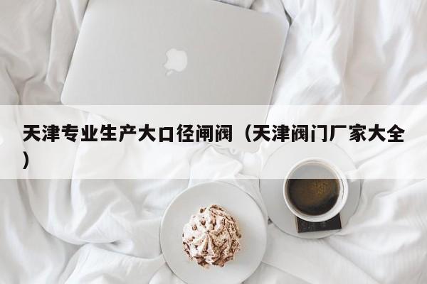 天津专业生产大口径闸阀（天津阀门厂家大全）