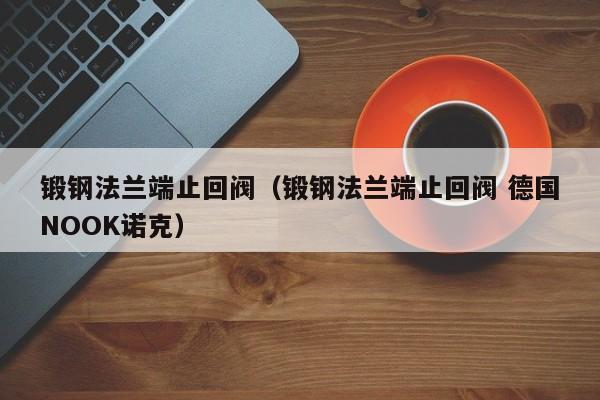 锻钢法兰端止回阀（锻钢法兰端止回阀 德国NOOK诺克）