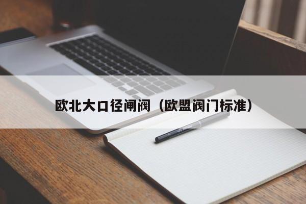欧北大口径闸阀（欧盟阀门标准）